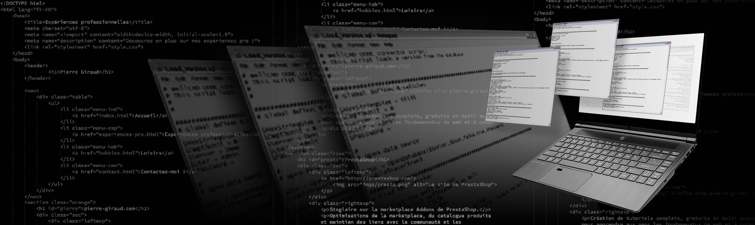 Automation WellCAD by ALT